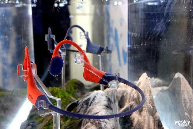 深耕运动加速破圈:Shokz 2024 韶音展现品必威牌发展新愿景(图7) 深耕运动加速破圈:Shokz 2024 韶音展现品必威牌发展新愿景(图7)